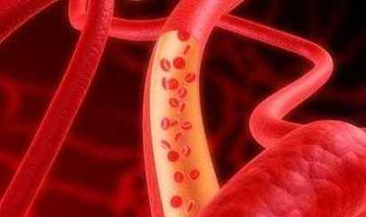 塑料杯 隨手杯 辦公杯 水杯/大水杯(365ML)[供應(yīng)]_世界工廠網(wǎng)中國產(chǎn)品信息庫